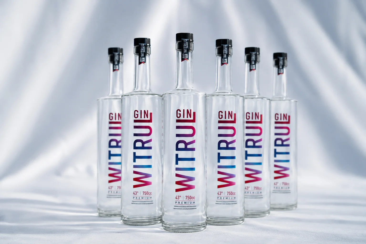 Pack x6 Gin Witrul