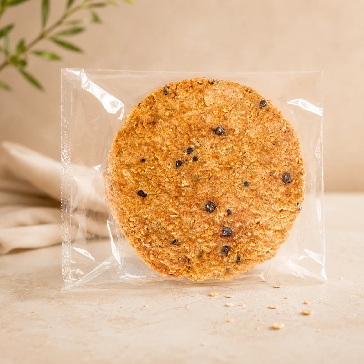 Galletón de avena
